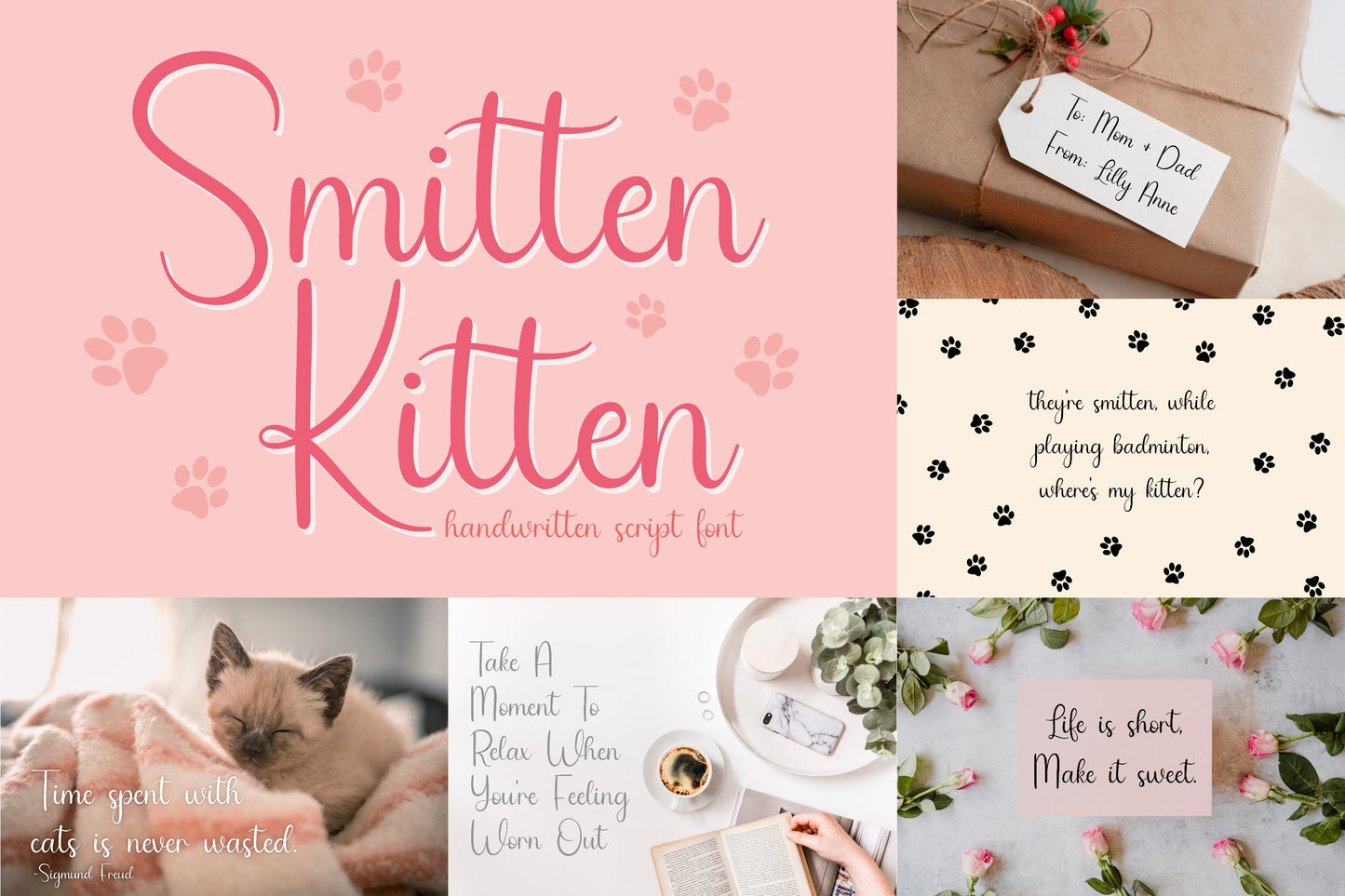 Script Font Bundle | Vol. 2 | 4 Fonts