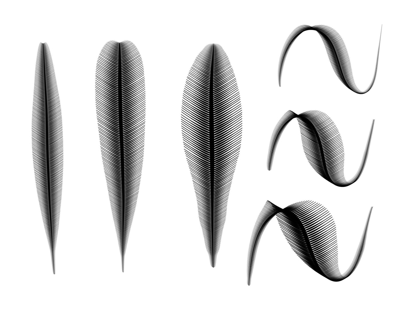 Leif Procreate Brush