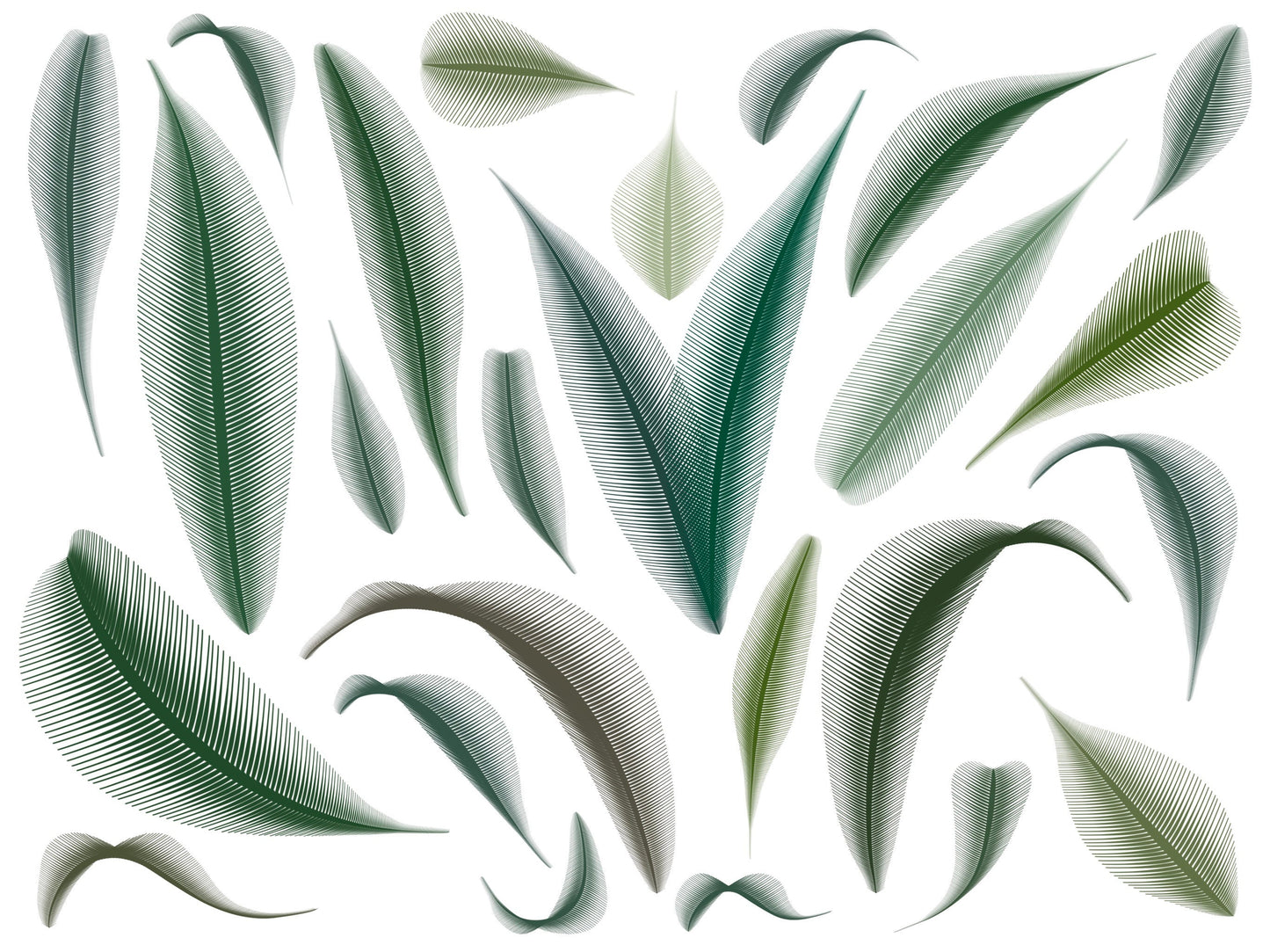 Leif Procreate Brush