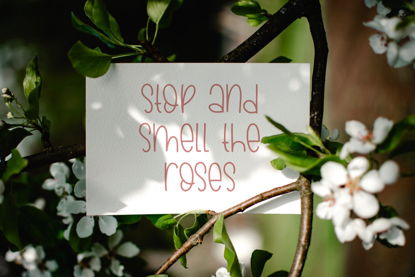 June Bug Cute Handwritten Font