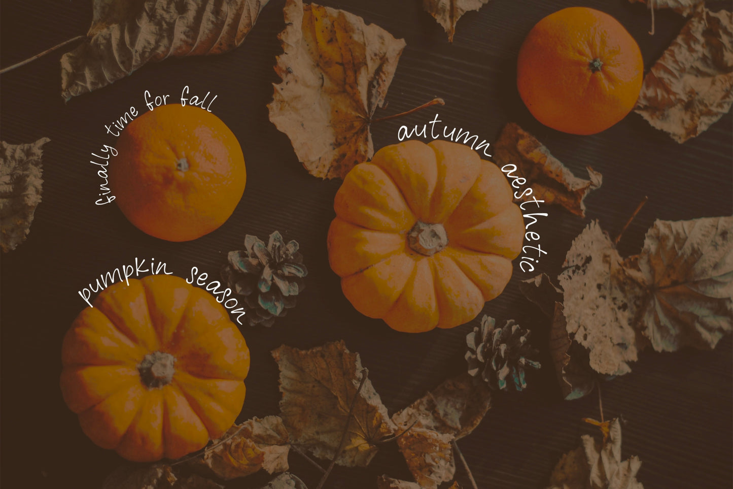 November Lane Handwritten Font