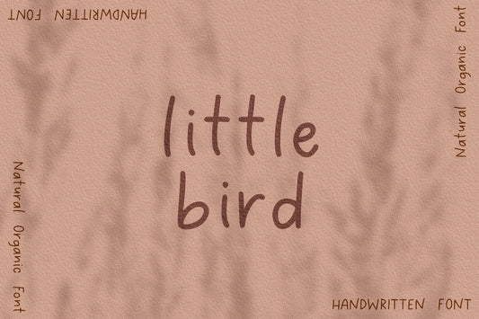 Little Bird Handwritten Font