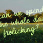 Summer Scribbles | Casual Handwritten Font