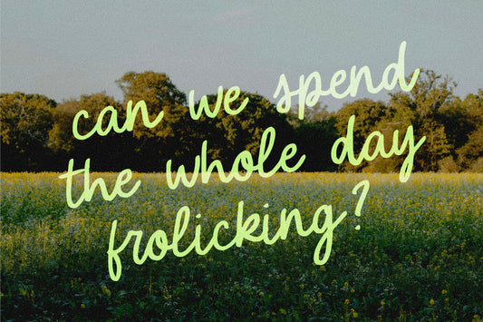 Summer Scribbles | Casual Handwritten Font
