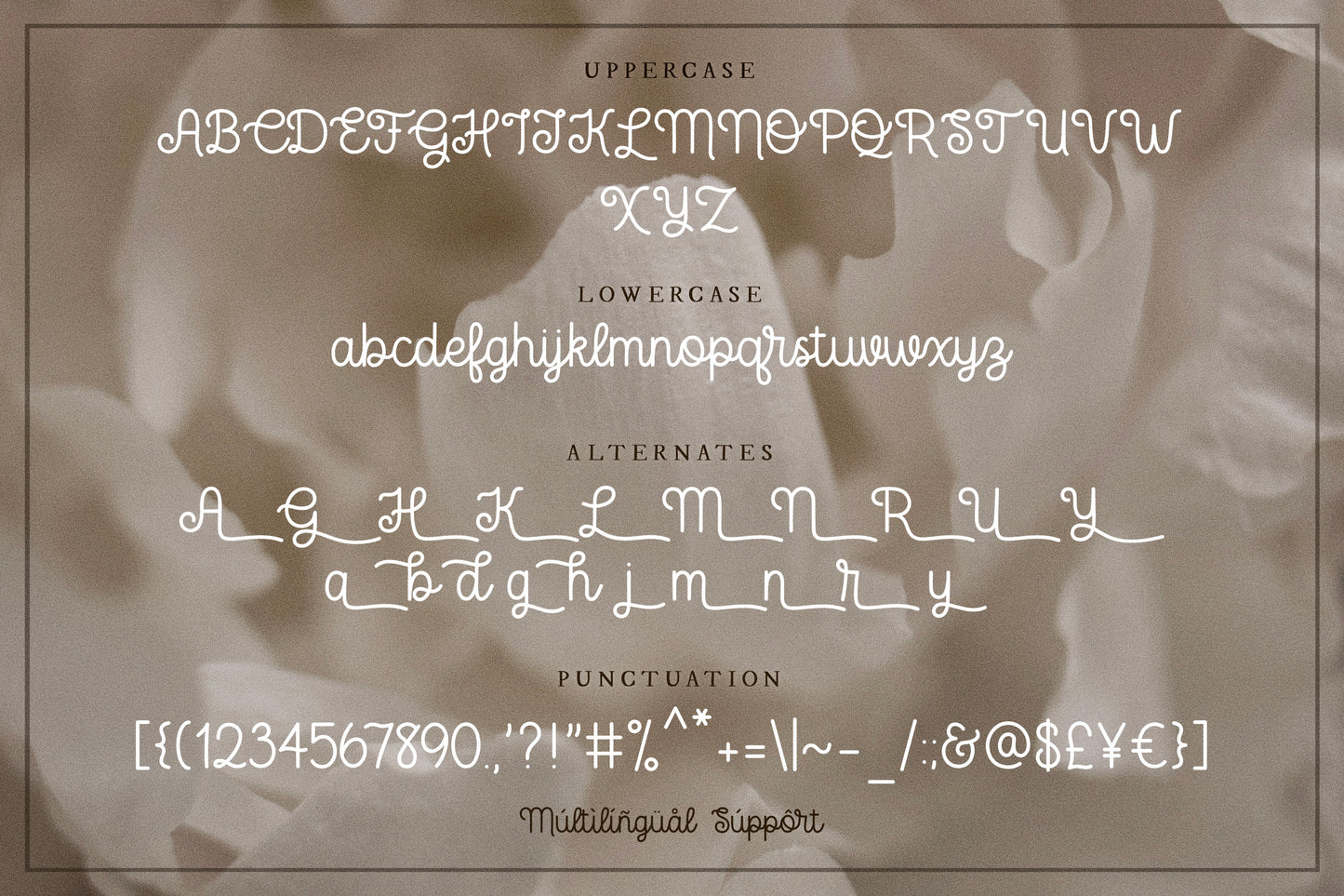 Arabesque Handwritten Script Font