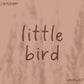 Little Bird Handwritten Font