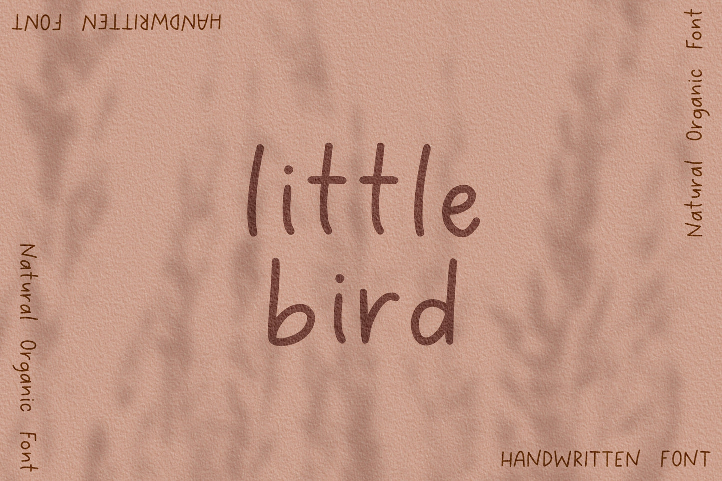 Little Bird Handwritten Font